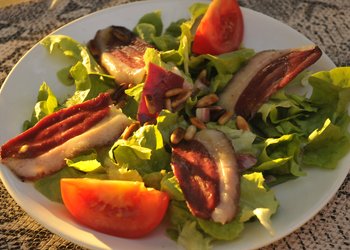 Top Vakantiehuizen | Bed and Breakfasts