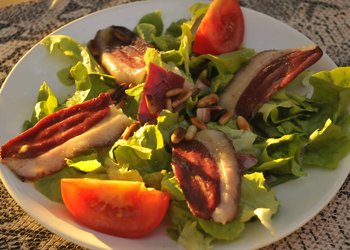 Top Vakantiehuizen | Bed and Breakfasts