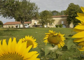 Top Vakantiehuizen | Bed and Breakfasts