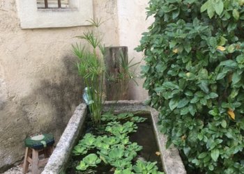Top Vakantiehuizen | Bed and Breakfasts