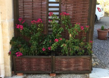 Top Vakantiehuizen | Bed and Breakfasts
