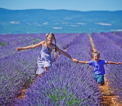 Top Holiday Homes and Bed and Breakfasts