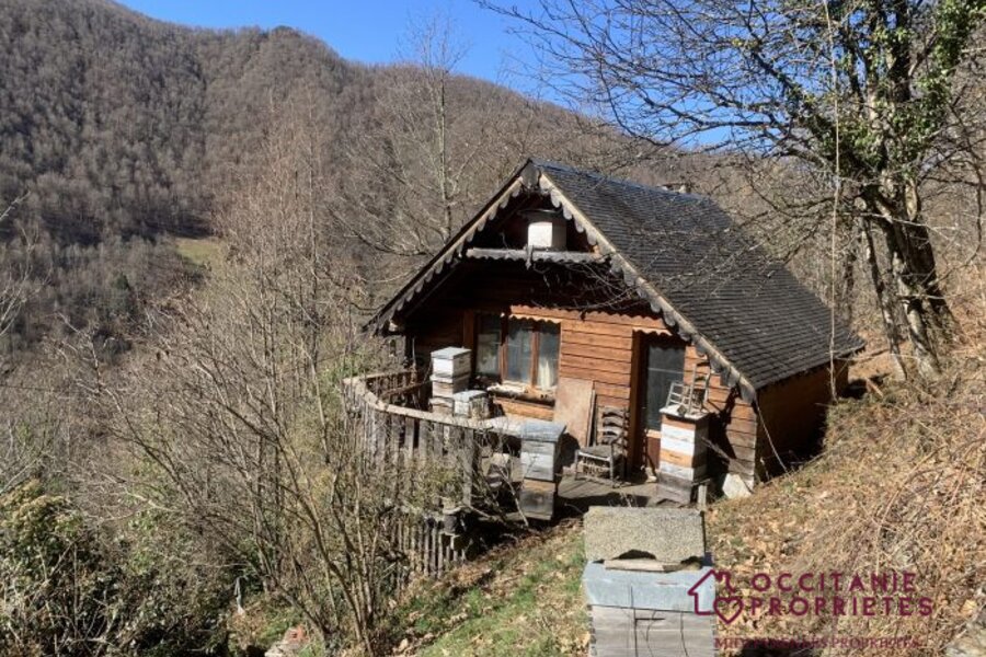 Top Vakantiehuizen | Bed and Breakfasts